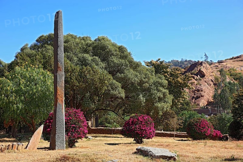 Tigray region, in the stele park of Axum, Aksum, Ethiopia, Africa