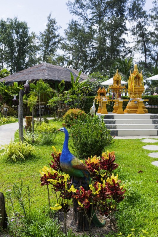 Small Buddhist temple, decorated, golden, gilded, religion, faith, world religion, Buddhism, Asian, pilgrimage site, worship, god, deity, icon, sculpture, Ko Lanta, Thailand, Asia