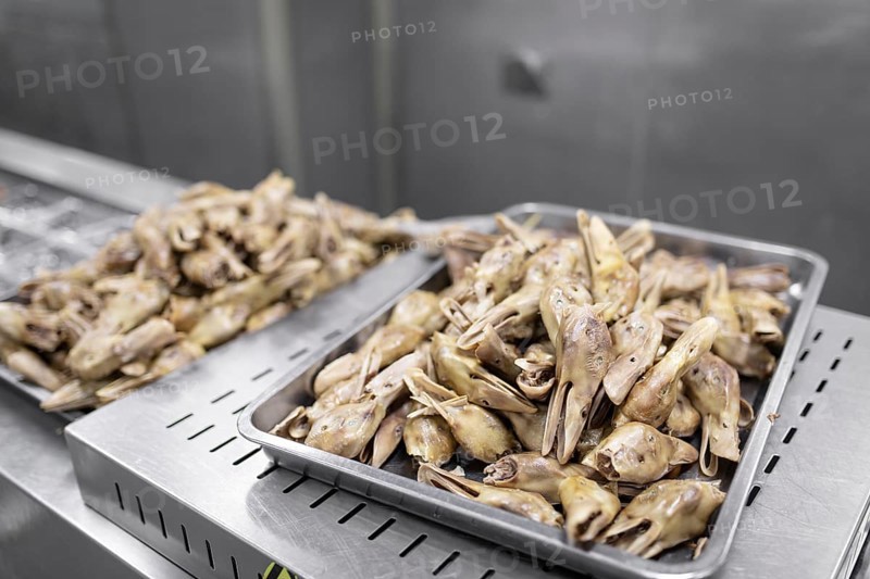 Production of salted duck heads in the Nan Jing Ying Tao Yo Co. Ltd. factory, a popular snack, the frozen ducks come from the duck farms, are salted, brined, dried and scalded, Nanjing, China, Asia