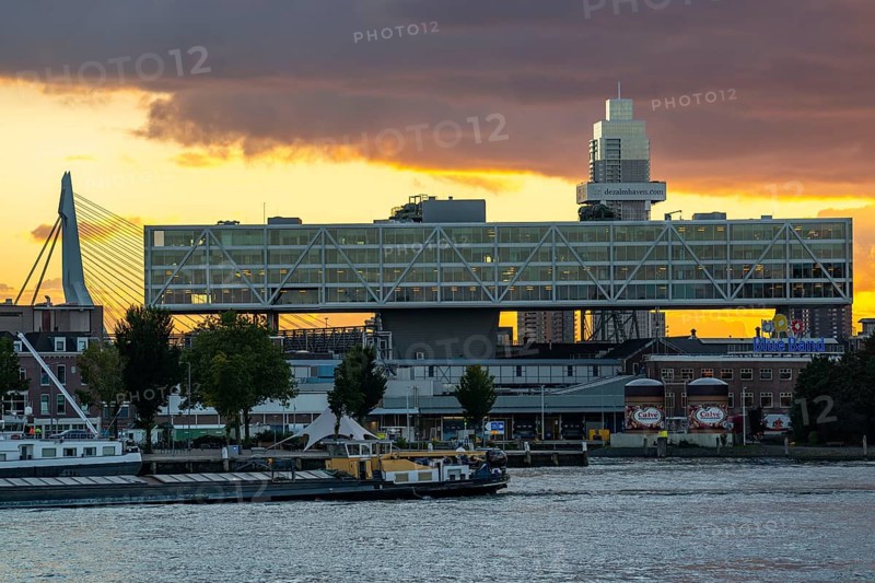 The skyline of Rotterdam, on the left the Unilever office building De Bruk, river the Nieuwe Maas, Netherlands