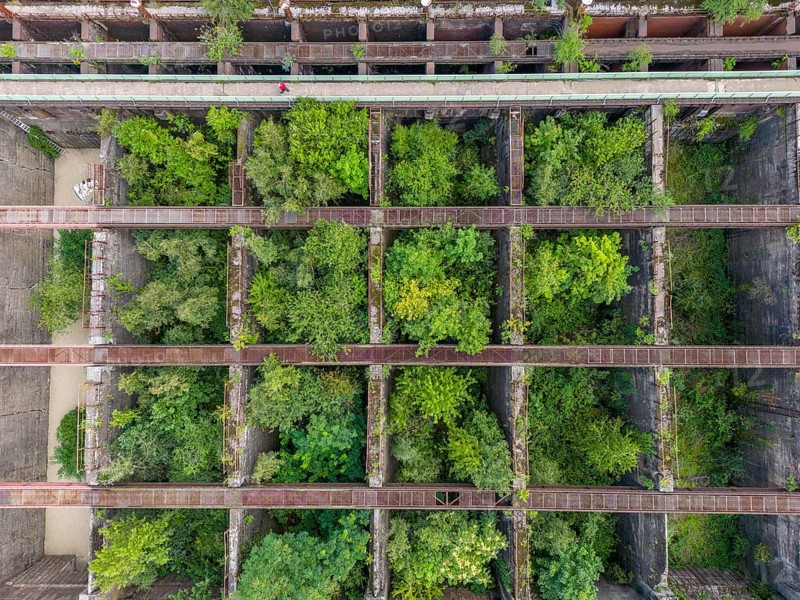 Duisburg-Nord Landscape Park, former Thyssen steelworks, closed in 1985, since then trees have been growing in the former Möller bunkers, ore bunkers, storage bunkers for feeding the blast furnaces with various materials such as ore, coke, additives, accessible via the bunker footbridge, North Rhine-Westphalia, Germany, Europe
