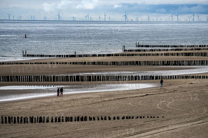 North Sea coast in Zeeland, called Zeeland Riviera, breakwater, made of wooden piles, near Zoutelande, offshore wind farm, municipality of Veere, Netherlands