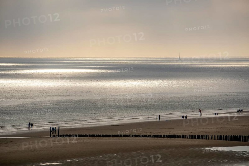 Evening mood on the North Sea beach near Zoutelande, Zeeland, anglers, walkers, breakwater, Netherlands