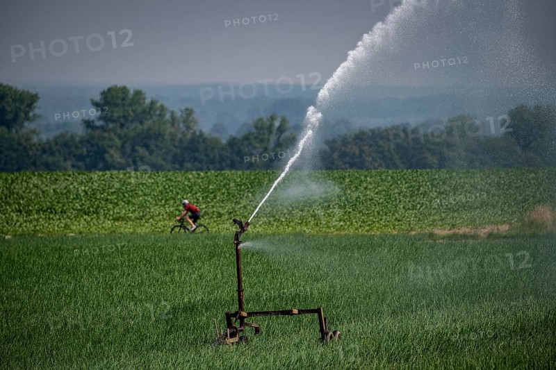 A field with onions is artificially irrigated, water is sprayed onto the field via a sprinkler system, North Rhine-Westphalia, Germany, Europe
