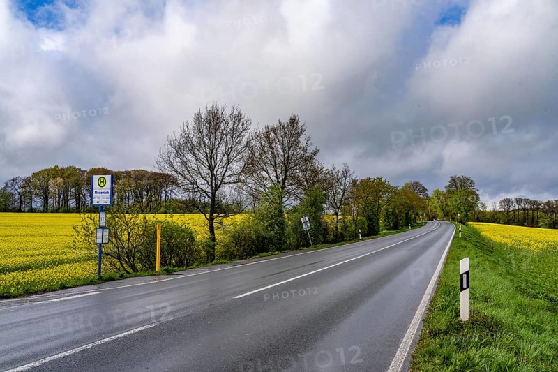 Bus stop, local transport in the countryside, near Breckerfeld, Neuenloh stop, on the L528, Ennepe-Ruhr district, North Rhine-Westphalia, Germany, Europe