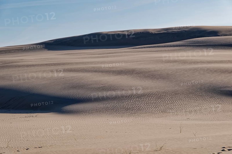 Dune landscape around the Lontz Dune, Wydma Lacka, the largest travelling dune on the Polish Baltic coast. It is located in the Slowinski National Park and is part of the UNESCO Slowinksi Biosphere Reserve. Leba, Pomerania, Poland, Europe