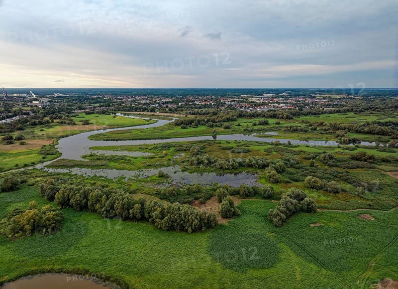 The Warta Estuary National Park, Park Narodowy Ujscie Warty, where the Warta flows into the Oder. The park consists mainly of meadows and pastureland, intersected by numerous old river courses and canals. Aerial view. Kostrzyn nad Odra, Lubuskie, Poland, Europe