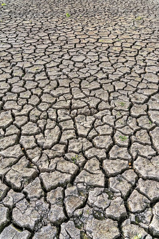 Dry ground, cracked, dried-up riverbed, in a branch of the Rhine, near Duisburg
