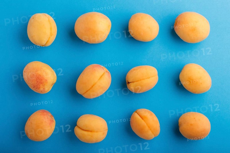 Rows of apricots on a blue pastel background, top view, flat lay