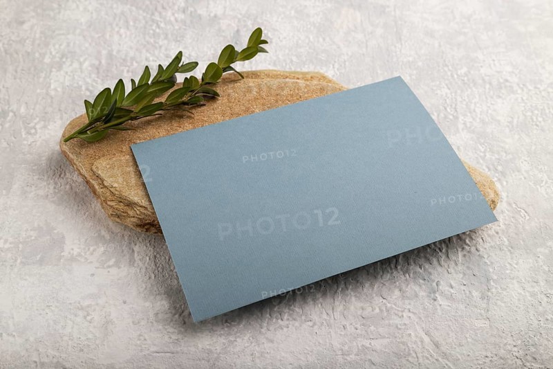 Blue paper business card, mockup with natural stone and boxwood branch on gray concrete background. Blank, side view, still life, copy space