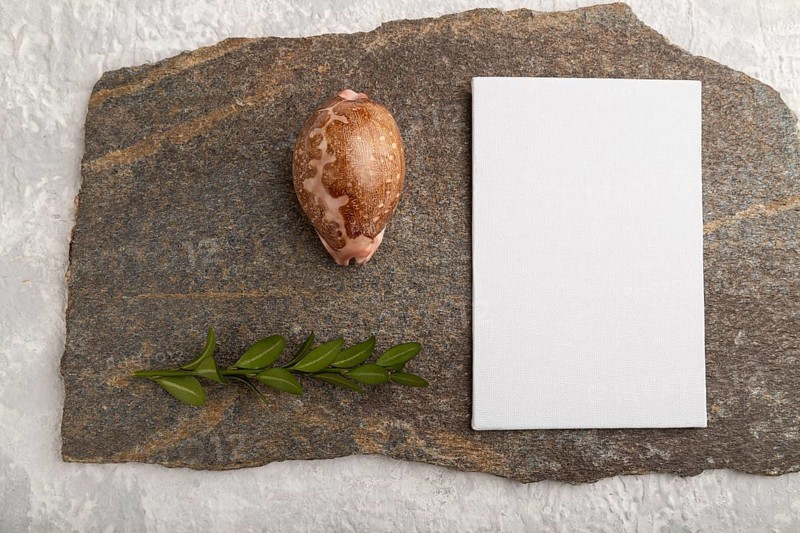 White paper business card, mockup with natural stone, seashell and boxwood branch on gray concrete background. Blank, flat lay, top view, still life, canvas, copy space