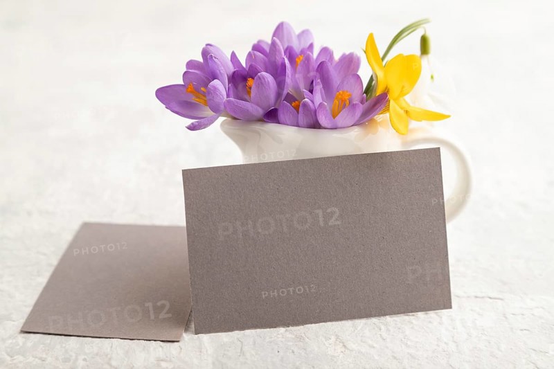 Gray paper business card mockup with spring snowdrop crocus and galanthus flowers on gray concrete background. Blank, business card, side view, copy space, still life. spring concept