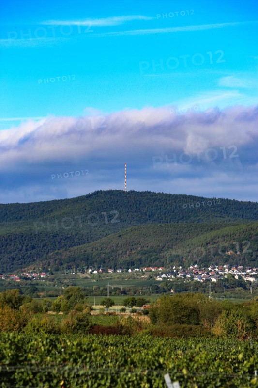 Panorama from the Haardtrand with a view of the Palatinate Forest
