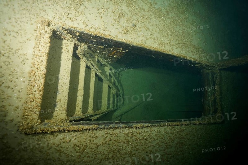 Rusty ladder in a shipwreck, covered by mussels, quagga triangle mussel (Dreissena rostriformis bugensis), invasive species, dive site wreck of the Jura, Lake Constance, Bottighofen, Switzerland, Münsterlingen, Germany, Europe