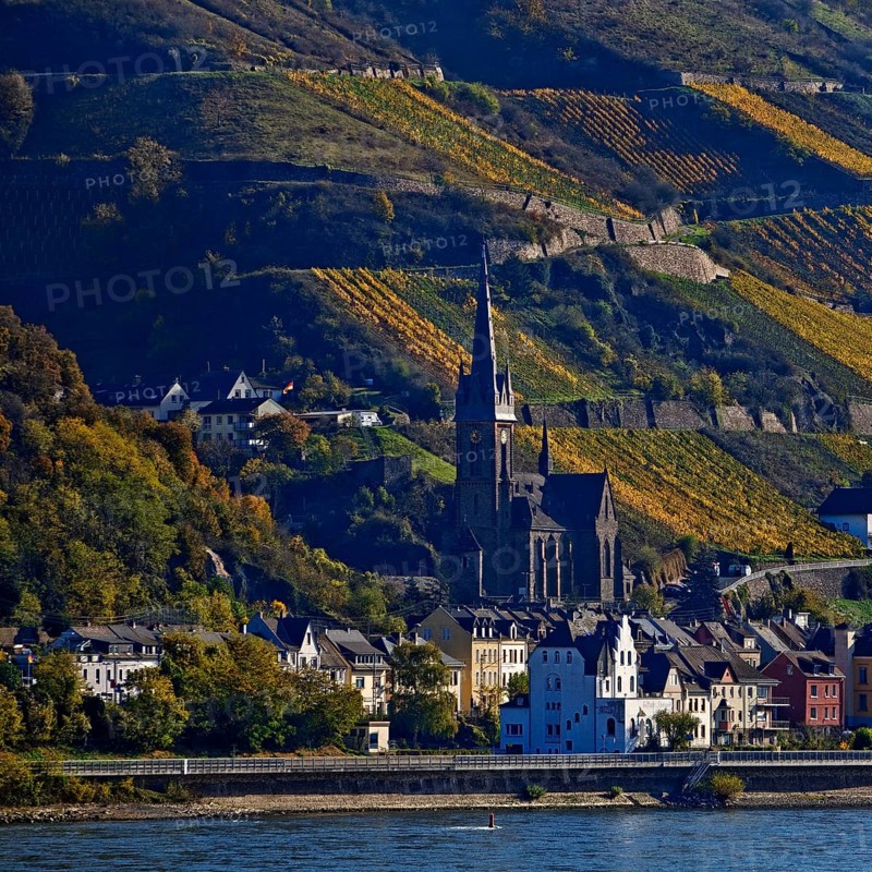 View across the Rhine from Bacharach to Lorch with the parish church of St Martin, UNESCO World Heritage Upper Middle Rhine Valley, Hesse, Germany, Europe