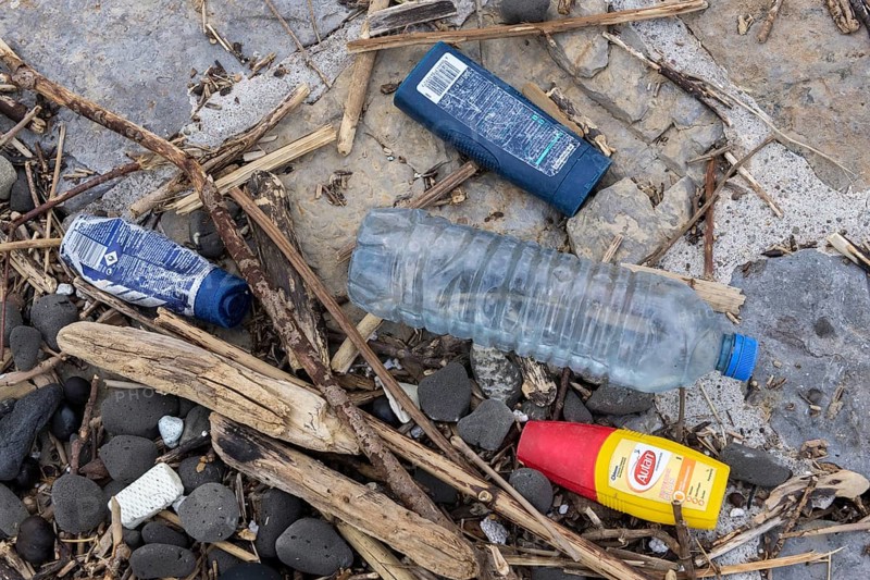Symbolic image environmental pollution, plastic waste, rubbish, flotsam from a flood on the Neckar river, wood, bottle, cans, Poppenweiler, Baden-Württemberg, Germany, Europe