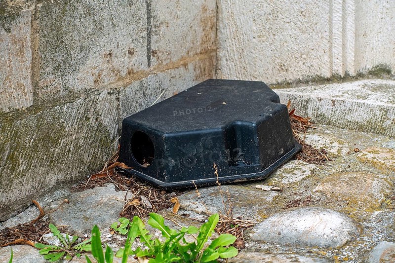 Poisoned plastic box for pest control, rat bait station filled with rodenticide, poisonous paste as poison to exterminate rats in and around house