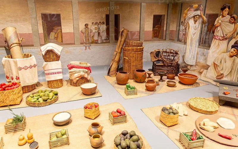 Display of Aztec foods and market, archaeological site and museum of Templo Mayor, Mexico City, Mexico, Central America
