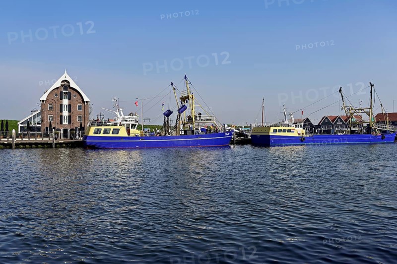 Fishing boat in the home harbour of the fishing fleet, Oudeschild, Texel, North Holland, Netherlands