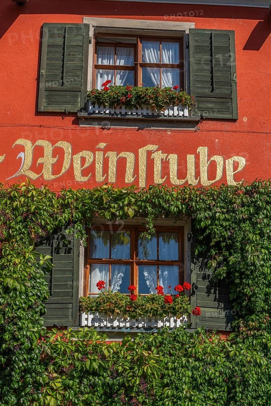 Meersburg on Lake Constance, inscription wine bar, wine, restaurant, flower box, close-up, Baden-Württemberg, Germany, Europe