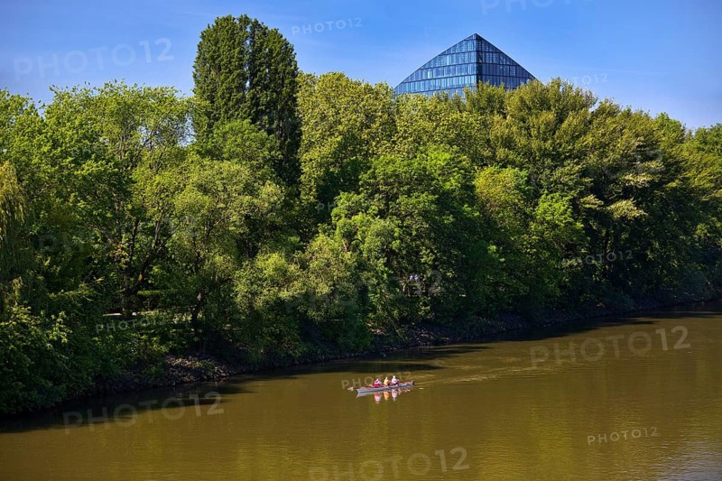 The river Main with a sports boat and the tip of the Main Triangle in Frankfurt-Sachsenhausen, Frankfurt am Main, Hesse, Germany, Europe
