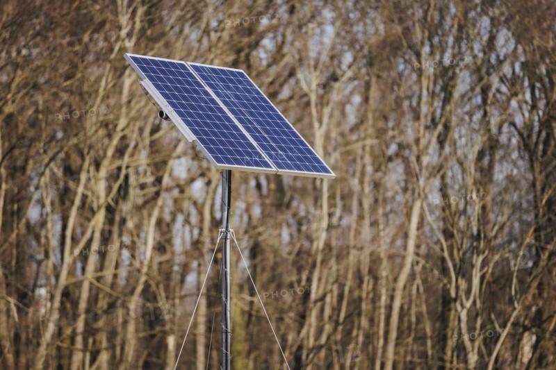 A solar panel looms in front of a forest in Berlin, 29/02/2024