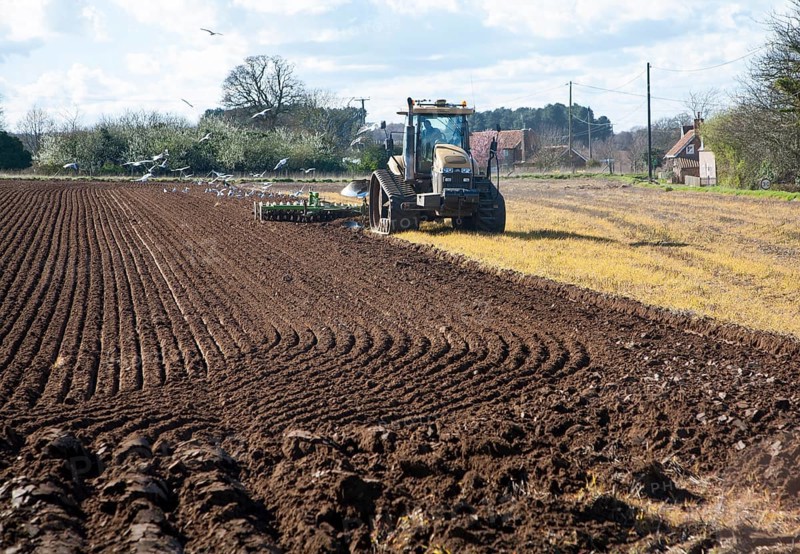 Challenger tracked tractor ploughing and pressing the soil in an arable field, Butley, Suffolk, England, United Kingdom, Europe