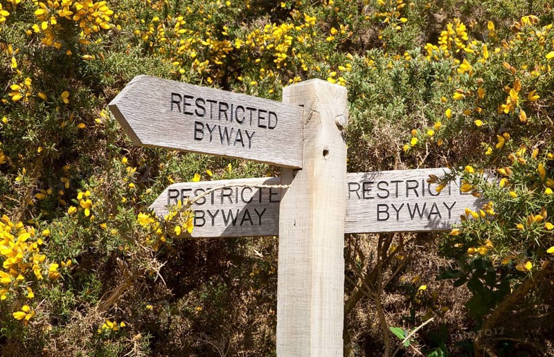 Wooden signpost for three restricted byway paths next to yellow flowers of common gorse bush, Shottisham, Suffolk, England, United Kingdom, Europe