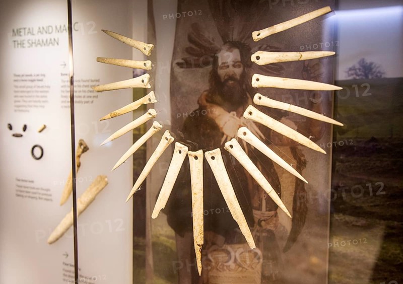 Wolf teeth necklace display relating to Bronze Age shamanism and magic. With permission of Wiltshire Museum, Devizes, England, UK