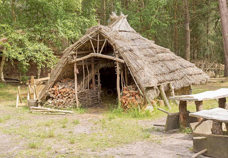Hands on Heritage, site of reconstructed archaeological historic buildings, Tunstall forest, Suffolk, England, UK, Iron Age hut house