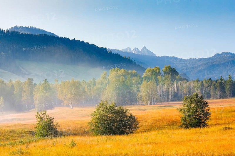 View over the Rothenthurm upland moor in autumn with the Mythen mountain peaks in the background, Canton Schwyz, Switzerland, Europe