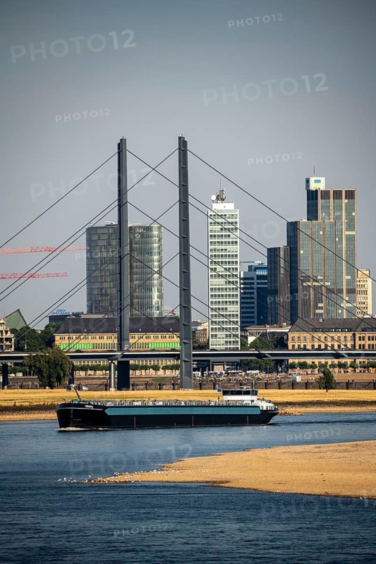 Rhine at Düsseldorf, extremely low water, Rhine level at 47 cm, falling, barge in front of the skyline with the Rheinkneibrücke bridge, sandbanks, freighters are only allowed to sail with very reduced cargo and very slowly, North Rhine-Westphalia, Germany, Europe