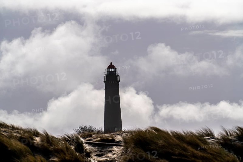 Dune landscape, New lighthouse, Borkum, island, East Frisia, winter, season, autumn, Lower Saxony, Germany, Europe