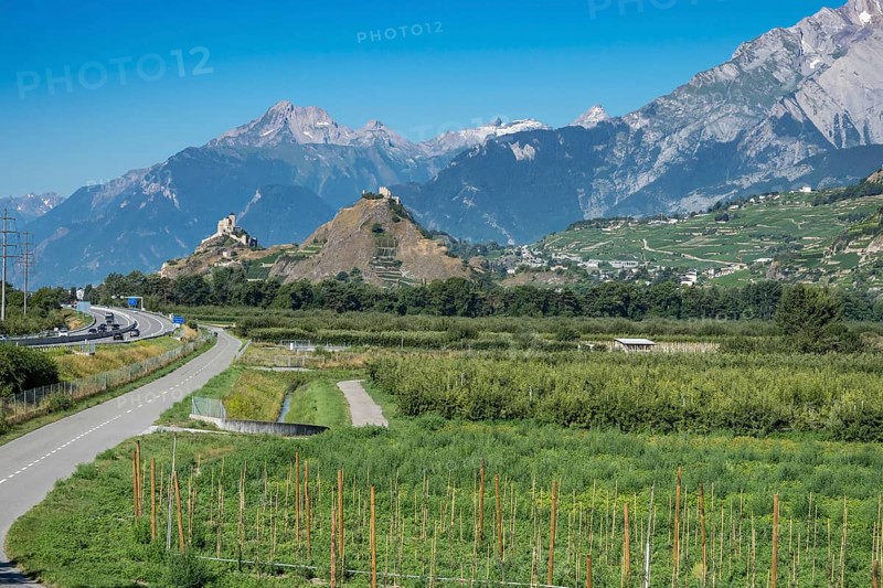 View over vineyards to castles of Sierre and Sion in the Rhone valley, Rhone highway A9 to the left, Valais, Switzerland, Europe