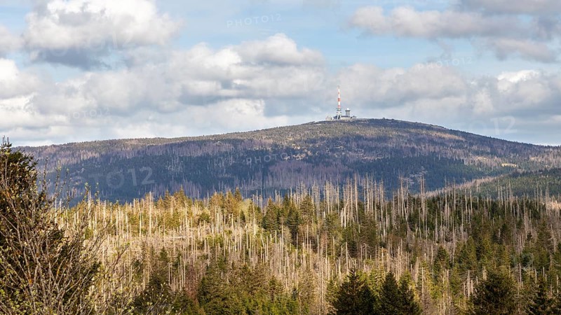 A mountain landscape with a television tower in the background under a blue sky, Harz Mountains, Brocken, Lower Saxony
