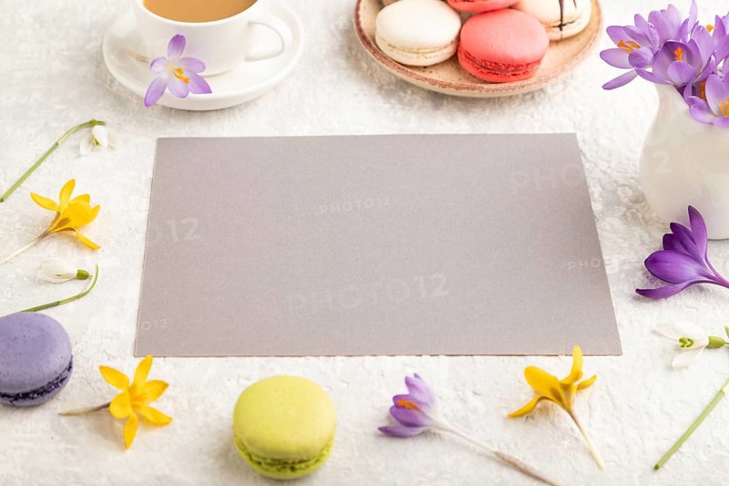 Beige paper sheet mockup with spring snowdrop crocus flowers and multicolored macaroons on gray concrete background. Blank, business card, side view, copy space, still life. spring concept