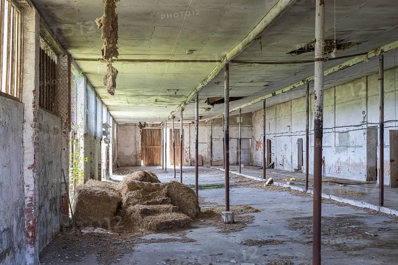 Lost Place, old cowshed, Collm, Wermsdorf, Saxony, Germany, Europe
