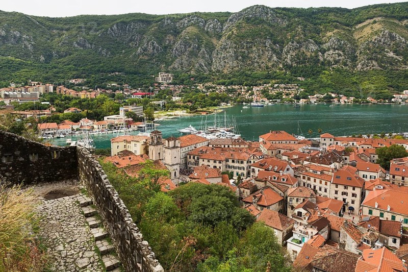 High angle view of walled mountainside walking trail, apartment buildings and houses covered with traditional terracotta clay roof tiles plus view of the bay, Old Town of Kotor, Montenegro, Europe