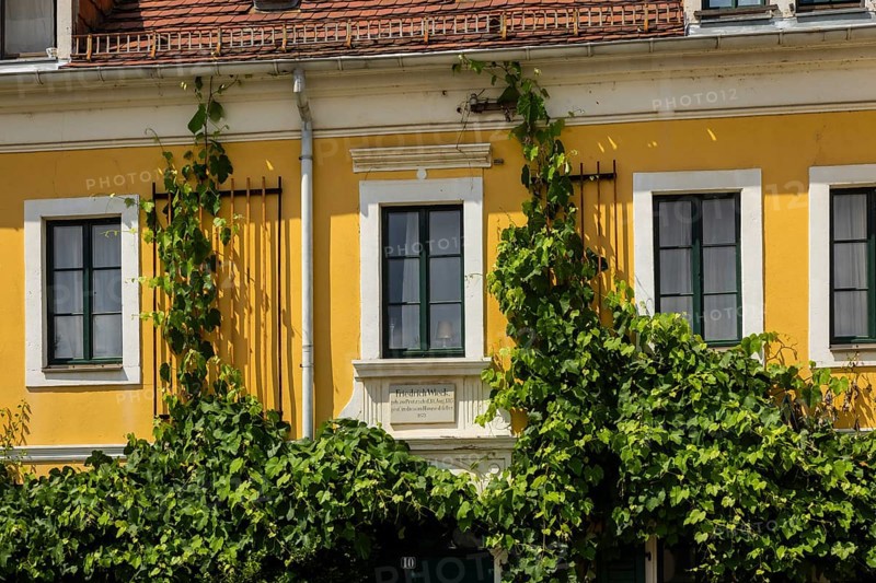 Listed Wieck House in Loschwitz, Friedrich-Wieck-Straße 10, Dresden Loschwitz, Dresden, Saxony, Germany, Europe