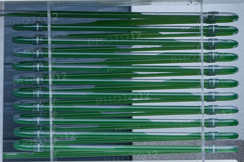 PUEVIT GmbH produces the most efficient photobioreactors for the cultivation of microalgae. The aim is to revolutionise the supply of raw materials through microalgae production. Innovative technological solutions have been developed for the growth and harvesting of spirulina, chlorella and other microalgae, for example, which enable unique efficiency, unprecedented simplicity and maximum stability in what is probably the most compact tube system on the market. Raw, unprocessed spirulina is produced as a fresh, regional food under the ALGENWERK brand. The algae grow in our own facilities and are harvested and freshly bottled directly and without any further processing steps., Commissioning of the full production of the Algae Plant of the company Puevit, Dresden, Saxony, Germany, Europe