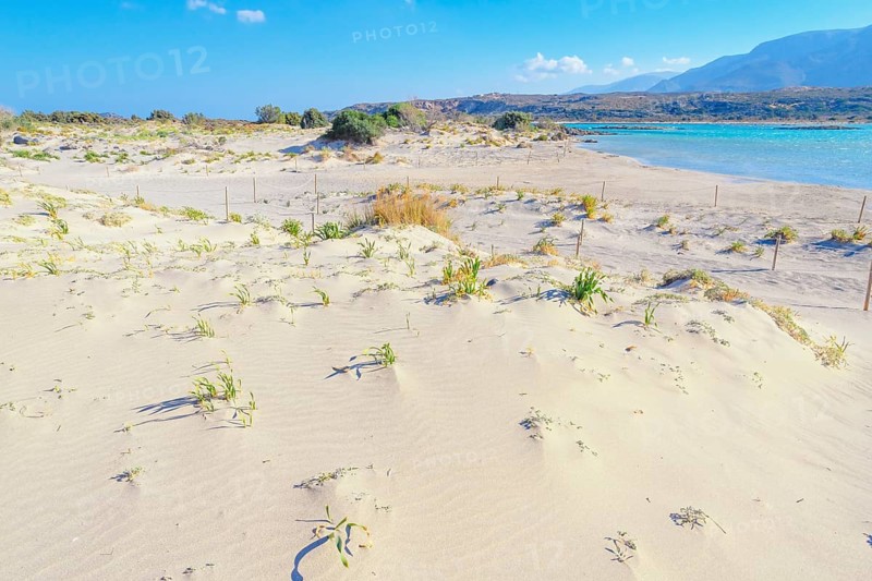 Elafonisi beach, Chania, Crete, Greek Islands, Greece, Europe