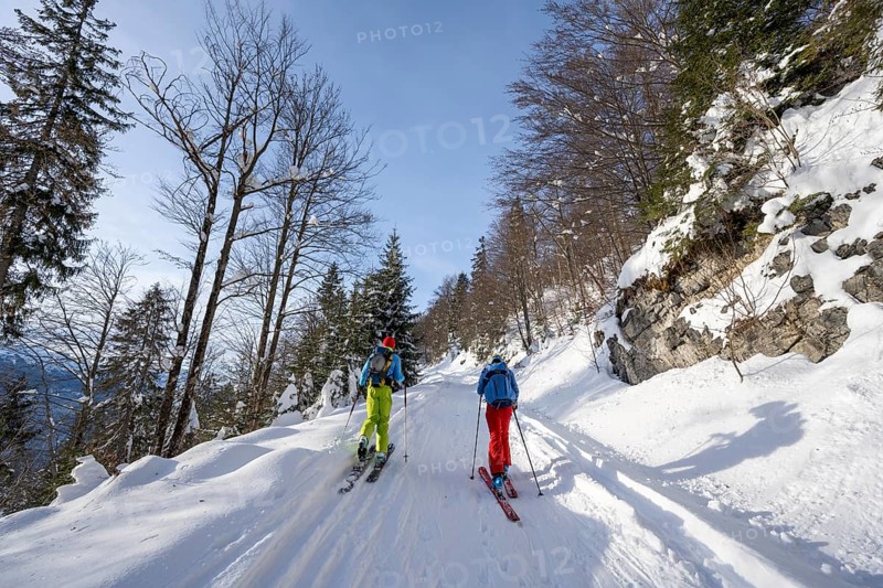 Two ski tourers in a snowy forest, ascent to Simetsberg, Estergebirge, Bavarian Prealps, Bavaria Germany