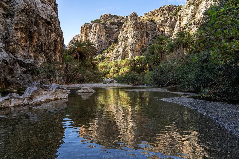 Phoenix theophrasti palms and the river Megalopotamos in the gorge of Preveli, Crete, Greece, Europe