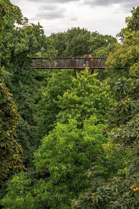 Visitors on the Treetop Walkway, steel structure, Royal Botanic Gardens (Kew Gardens), UNESCO World Heritage Site, Kew, Greater London, England, United Kingdom, Europe