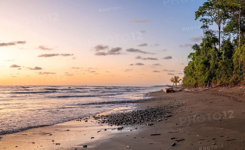 Coastal landscape at sunset, sandy beach with sea and rainforest, Corcovado National Park, Osa, Puntarena Province, Costa Rica, Central America