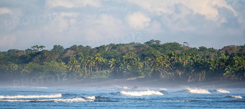 Coastal landscape, sea and sandy beach with rainforest, Corcovado National Park, Osa Peninsula, Puntarena Province, Costa Rica, Central America