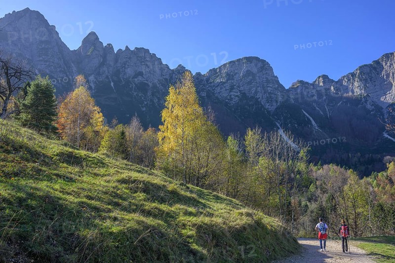 Autumn colours on the path of the big trees in the Piccolo Dolomiti, Recoaro Terme, province of Vicenza, Italy, Europe