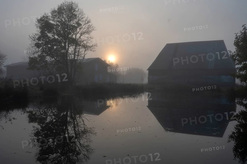 Morning sun over the estate pond on a foggy morning at Gut Othenstorf, Othenstorf near Rehna, Mecklenburg-Vorpommern, Germany, Europe