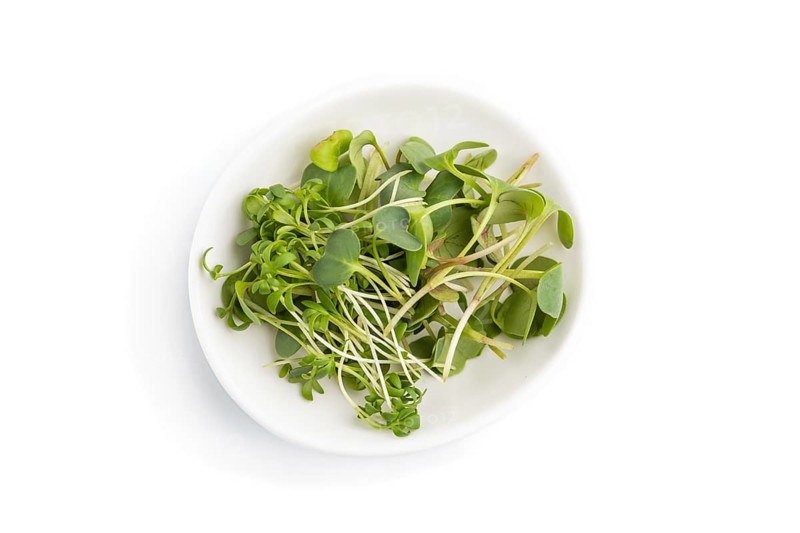 Ceramic plate with microgreen sprouts of radish and cress isolated on white background. Top view, close up