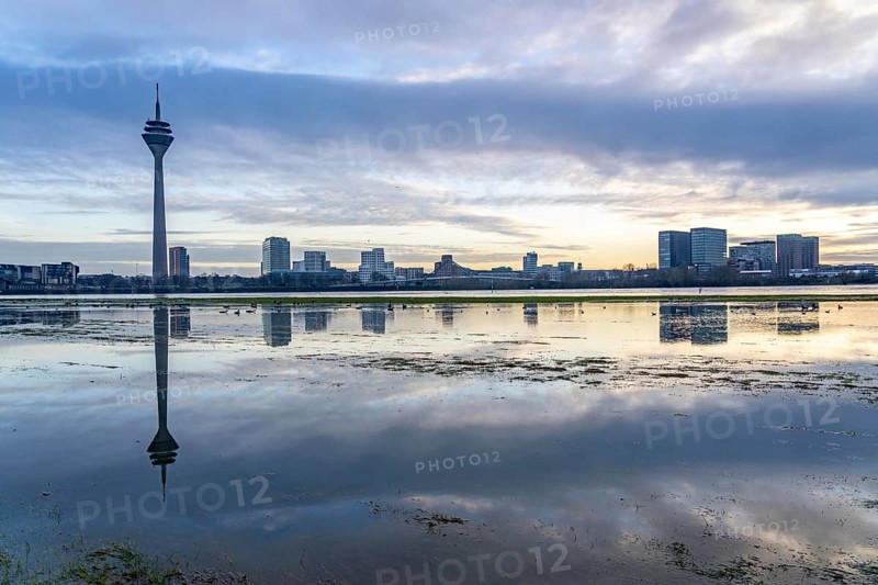 View over the Rhine near Düsseldorf, Media Harbour, from the Rhine meadows in Düsseldorf-Oberkassel, Rhine Tower, North Rhine-Westphalia, Germany, Europe